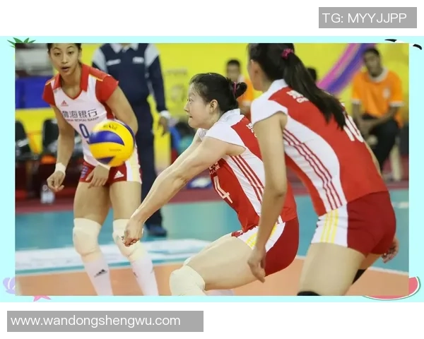 杭州排球队在全国排球灵活性排行榜中荣获第七名的佳绩引发关注